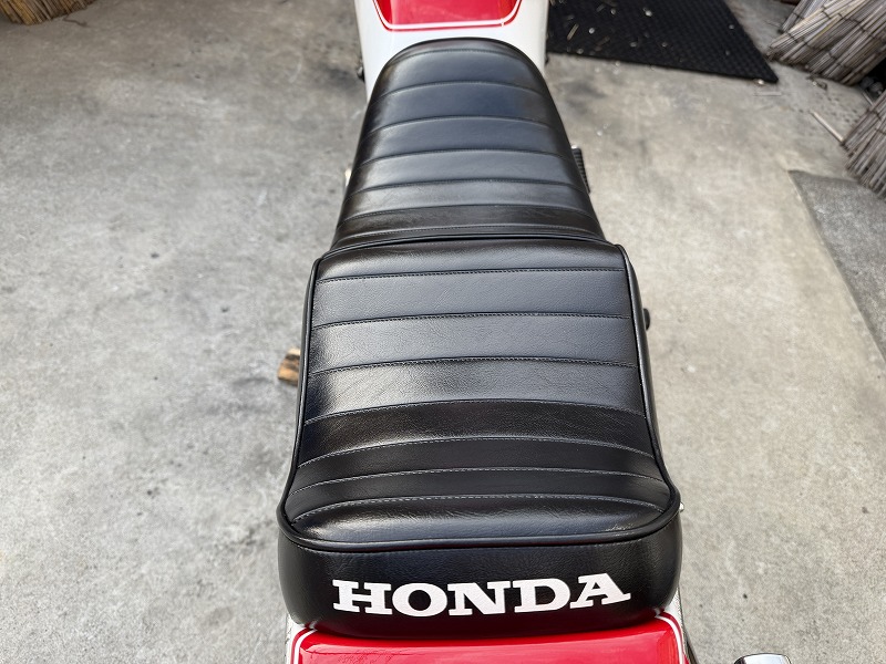 silver tabby cat