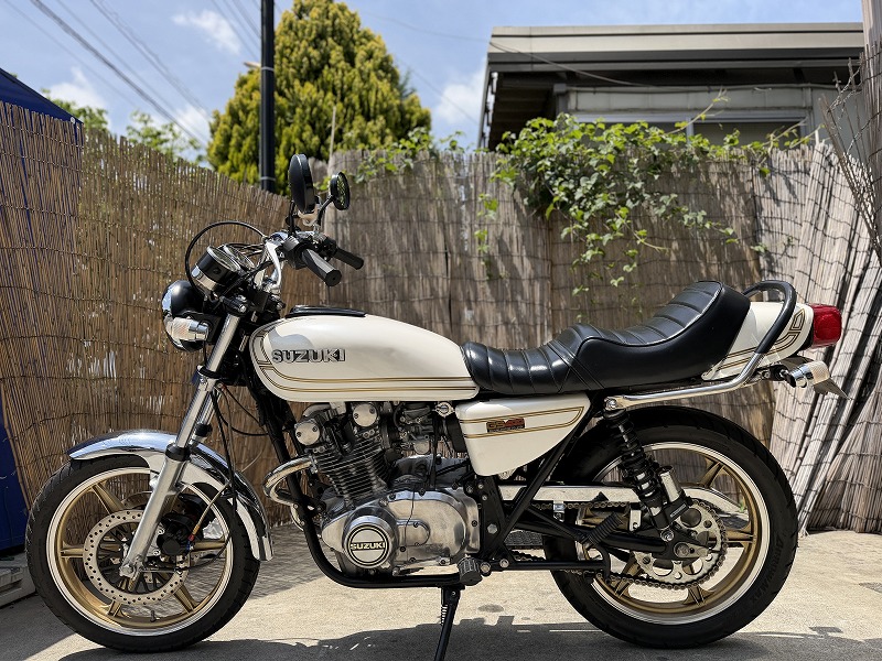 silver tabby cat