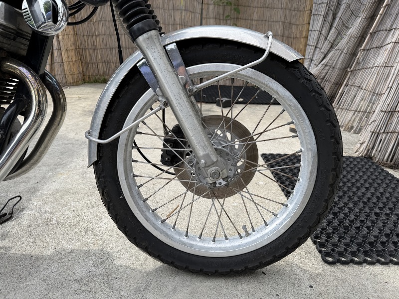 silver tabby cat