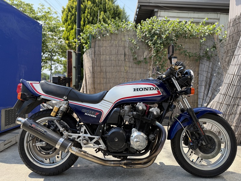 silver tabby cat