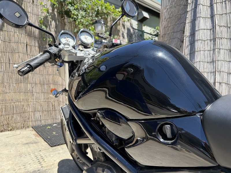 silver tabby cat