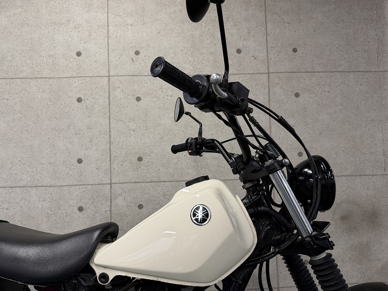 silver tabby cat