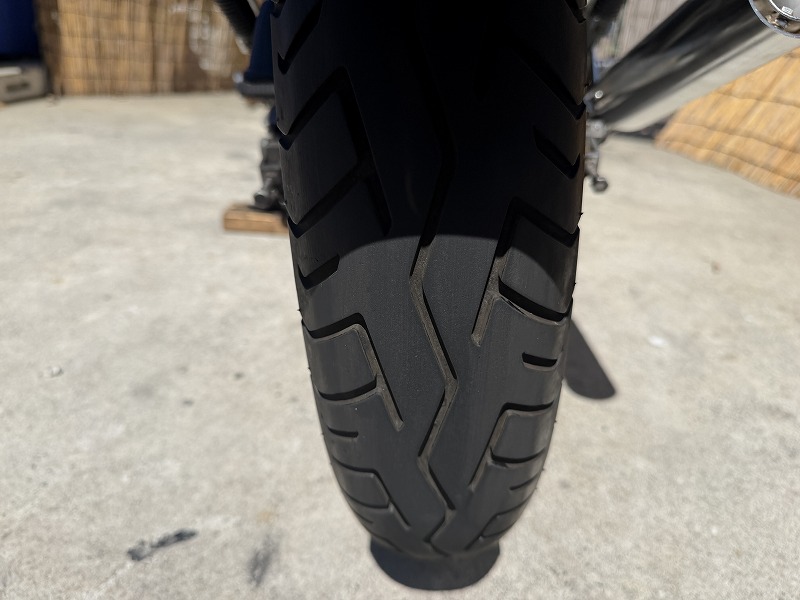 silver tabby cat